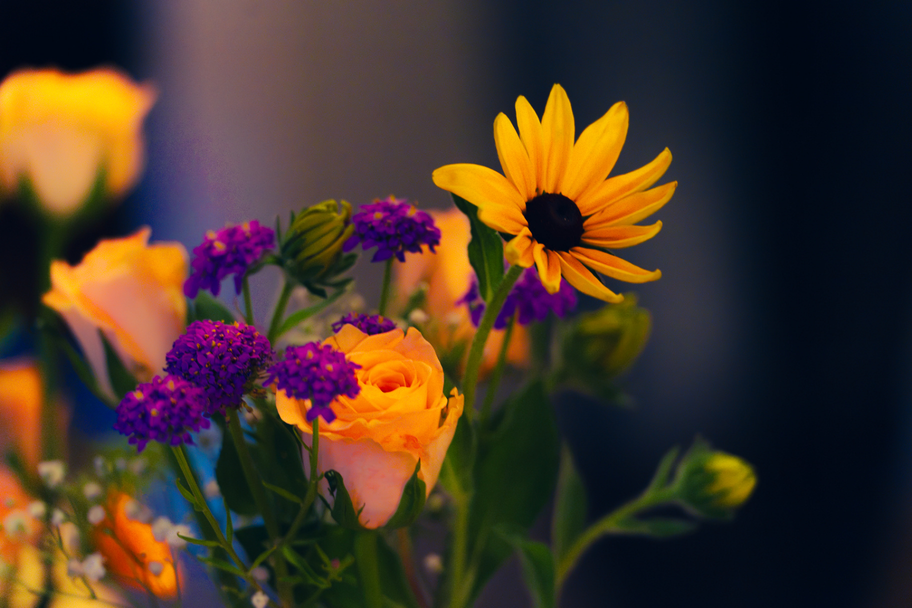Black-eyed Susan, orange roses and purple verbena in evening light at the Zurich Seefeld Session