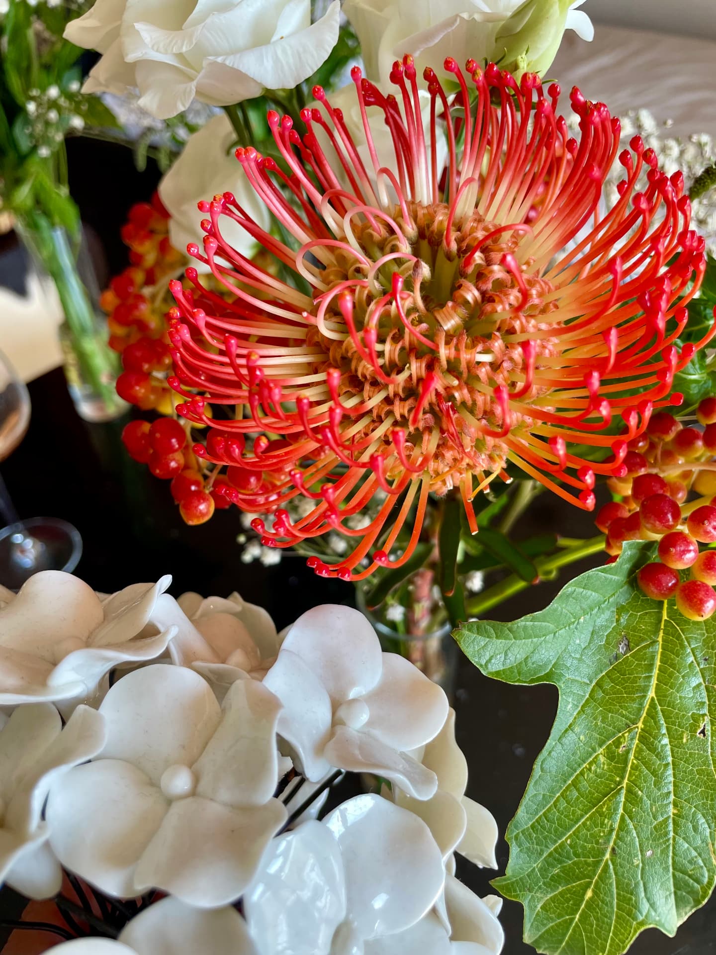 Macro close-up of a red-orange pincushion protea with berries and ceramic white hydrangeas