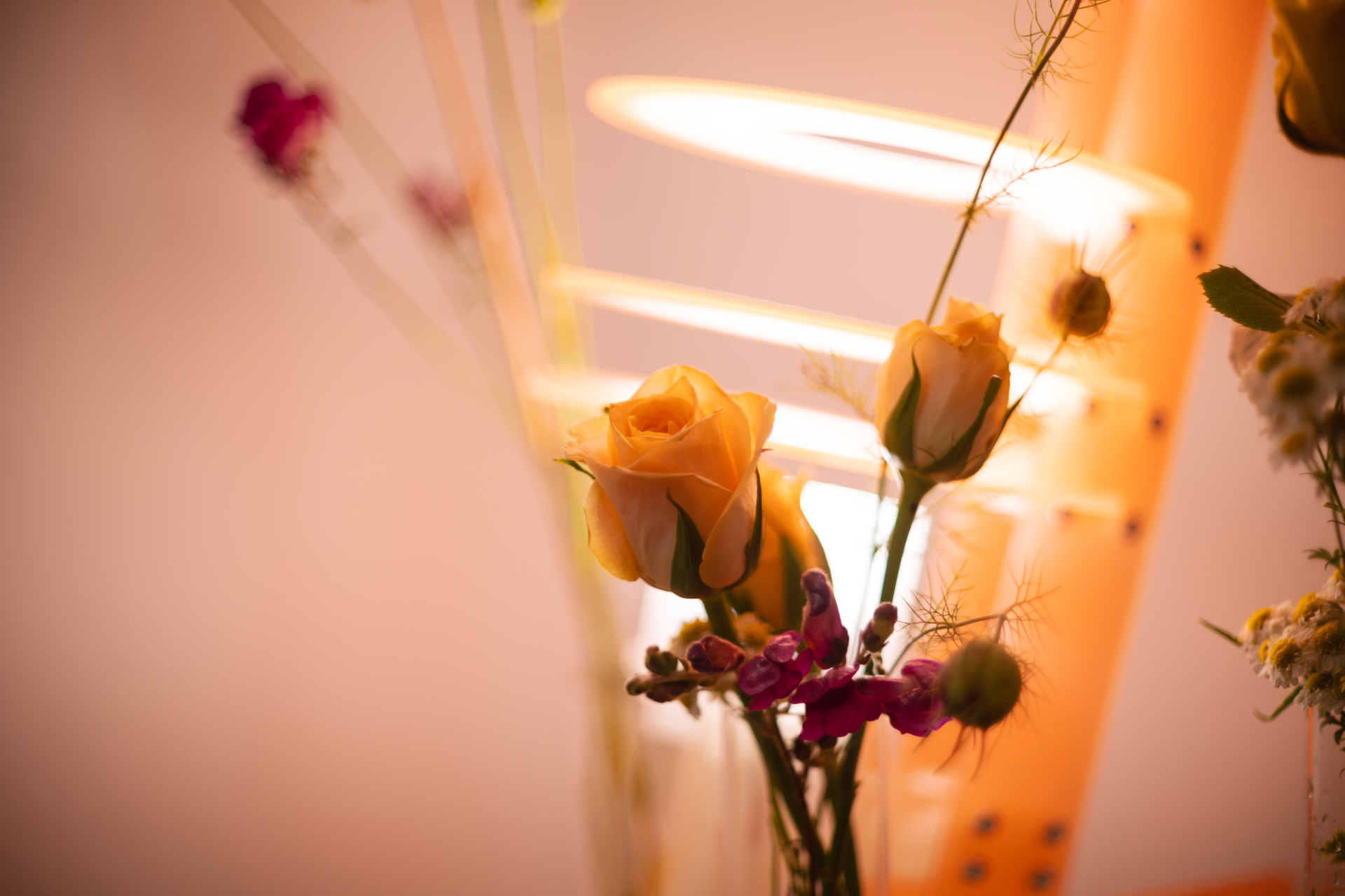 Peach roses and snapdragon stems glowing in warm light at the Zurich Seefeld Session