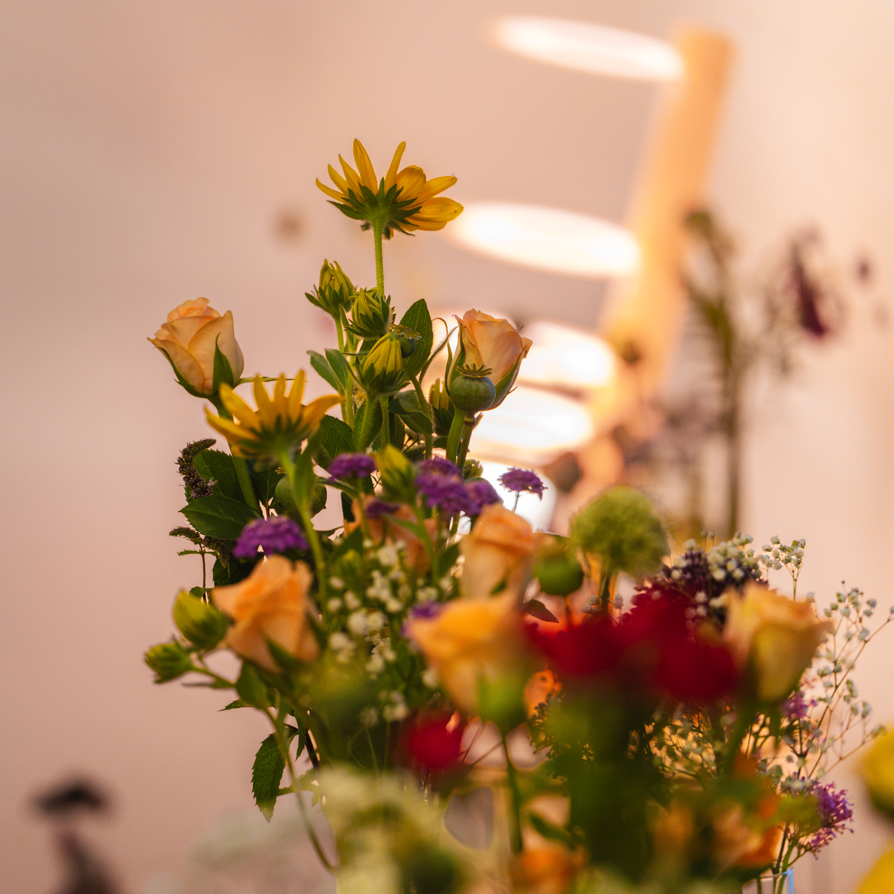 Rudbeckia, orange spray roses, verbena and gypsophila against a warm Seefeld interior