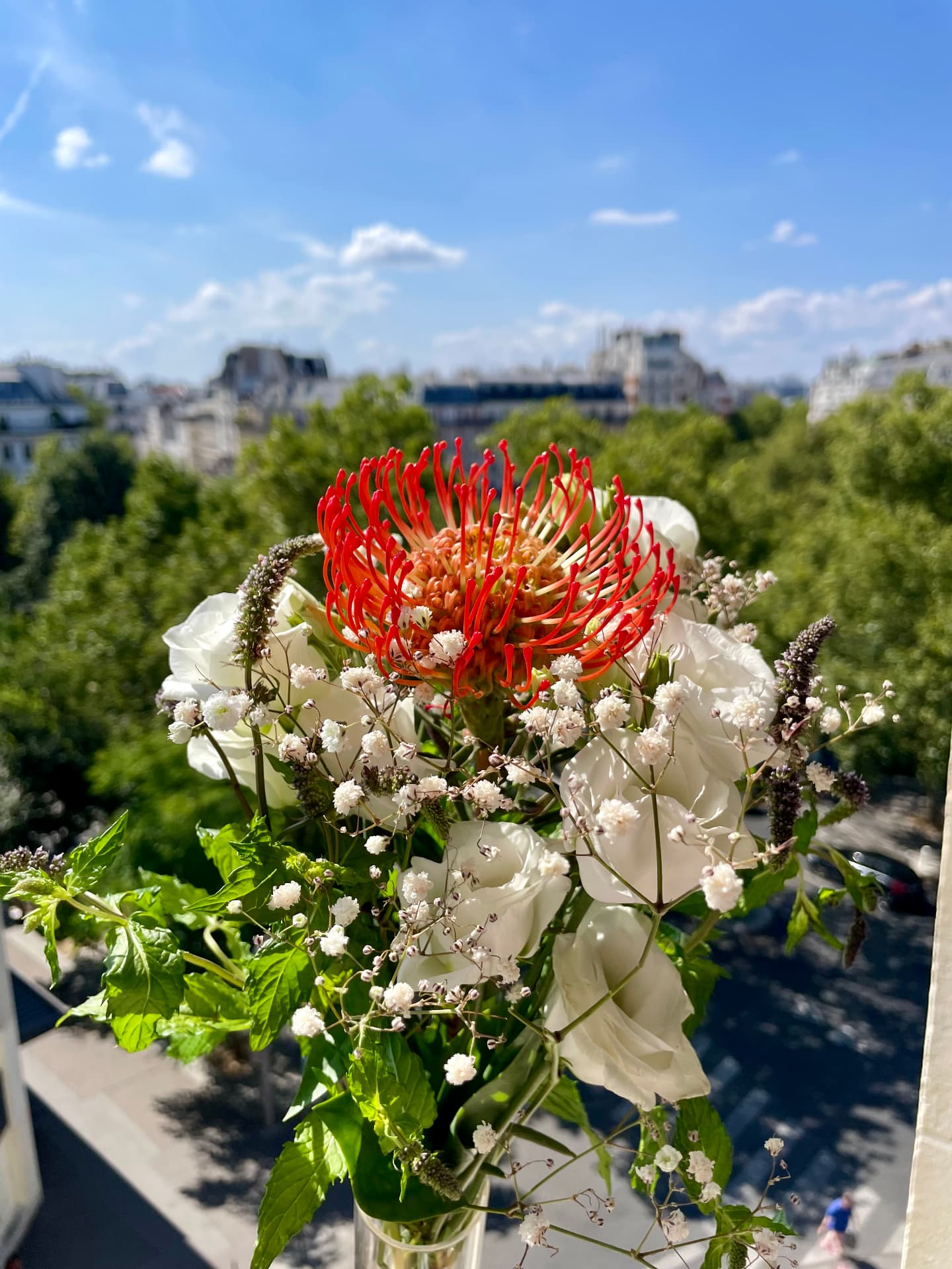 Bouquet of pincushion protea, white roses and gypsophila held against Paris rooftops and blue sky